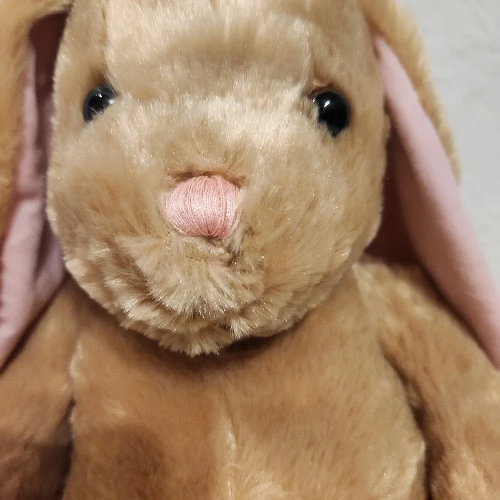 Build-A-Bear Pawlette Bunny Tan Easter Rabbit Plush Stuffed Animal No Sound Box